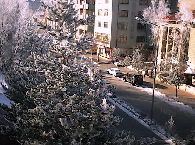 Bayburt 2005