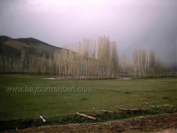 Beşpınar Köyü (Yukarı Loru)
