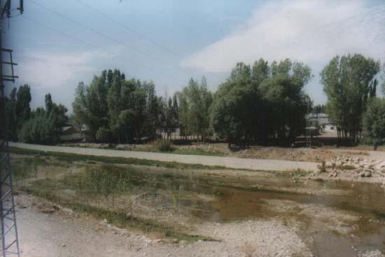 Arpalı Köyü (Niv)