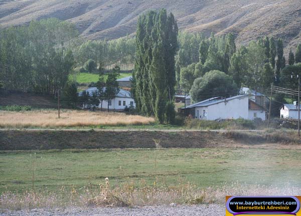Çalıdere Köyü (Müşeverek)