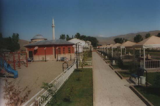 Arpalı Köyü (Niv)