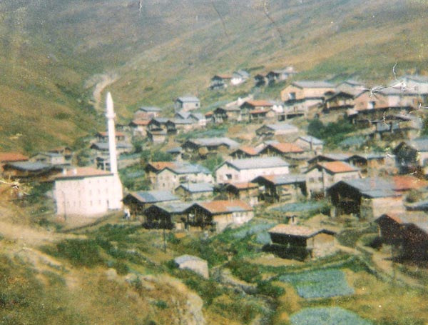 Dumlu Köyü (Henege)