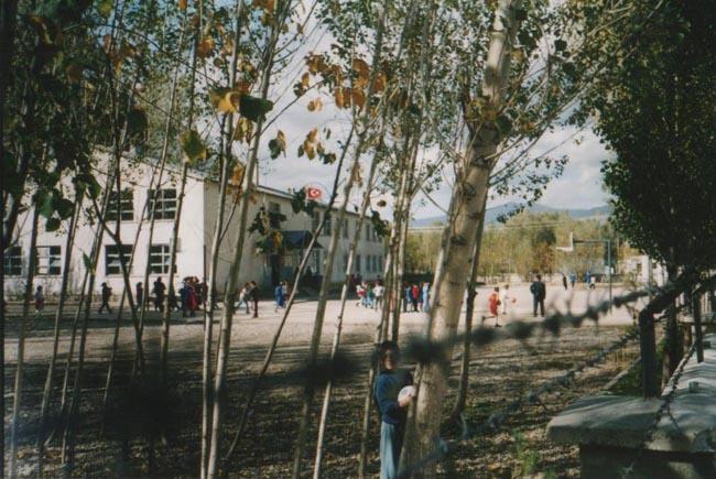 Arpalı Köyü (Niv)