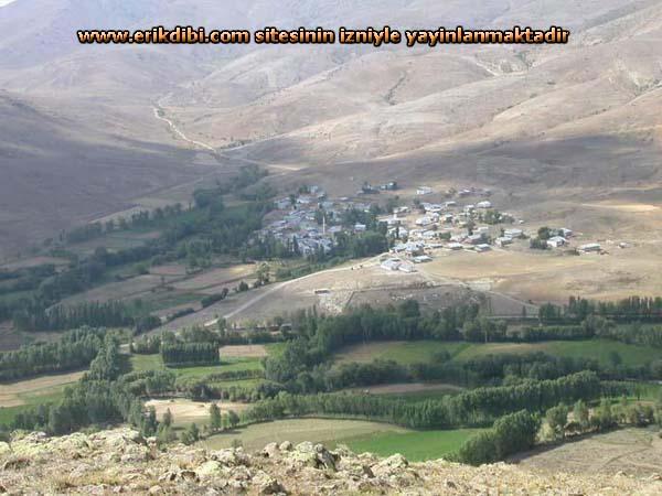 Erikdibi Köyü (Paynık)