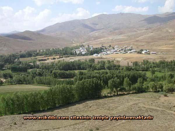 Erikdibi Köyü (Paynık)
