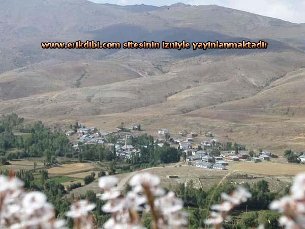 Erikdibi Köyü (Paynık)