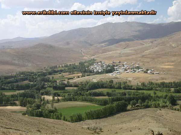 Erikdibi Köyü (Paynık)