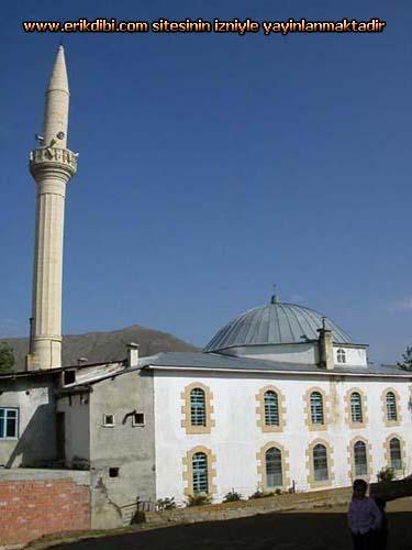 Erikdibi Köyü (Paynık)