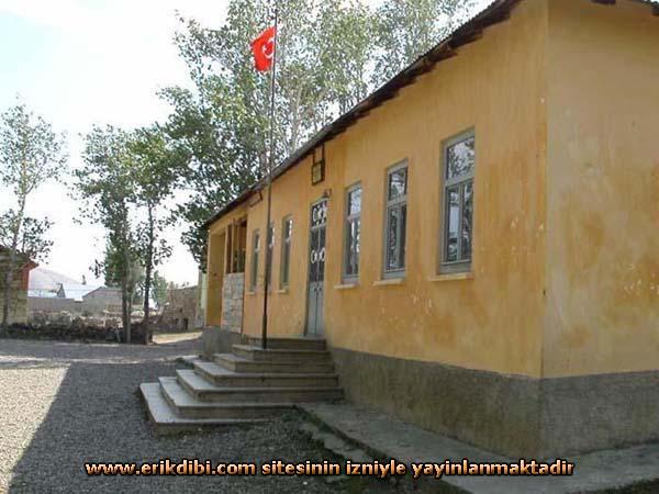 Erikdibi Köyü (Paynık)