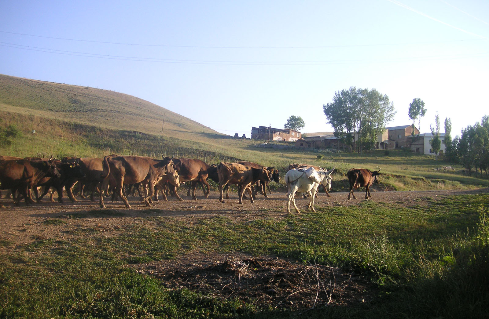Kabaçayır Köyü (Galısgavar)
