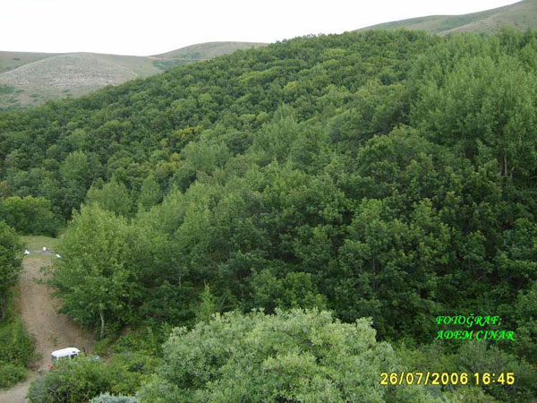 Kalecik Köyü (Yukarı Hayık)
