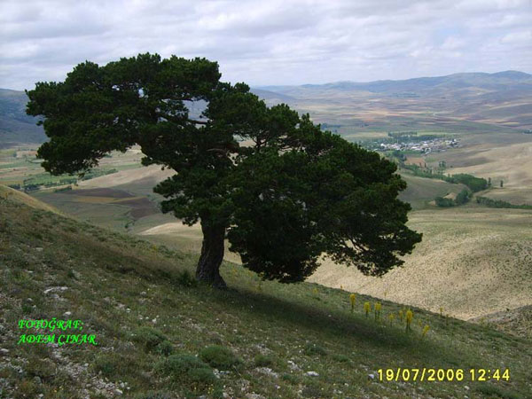 Kalecik Köyü (Yukarı Hayık)