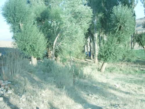 Kavacık Köyü (Galbulas)