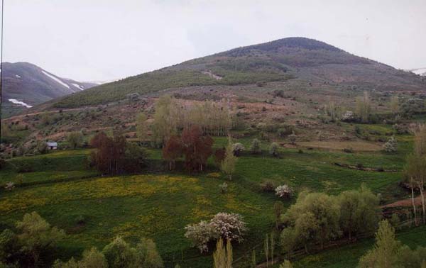 Kozluk Köyü (Kırtasor)