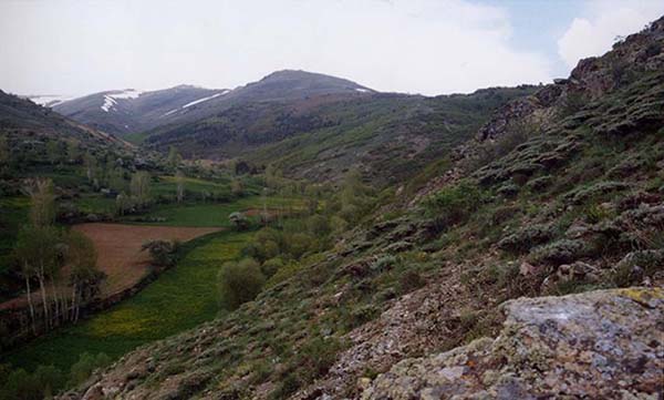 Kozluk Köyü (Kırtasor)