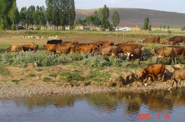 Oruçbeyli Köyü (Siptoros)