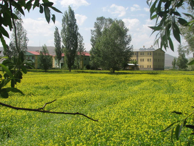 Oruçbeyli Köyü (Siptoros)