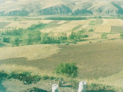 Yedigöze Köyü (Dacırak)