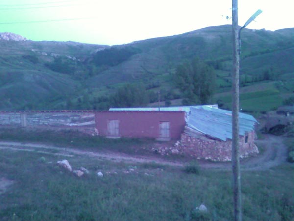 Yerlice Köyü (Tavunkvank)
