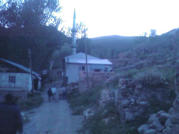 Yerlice Köyü (Tavunkvank)