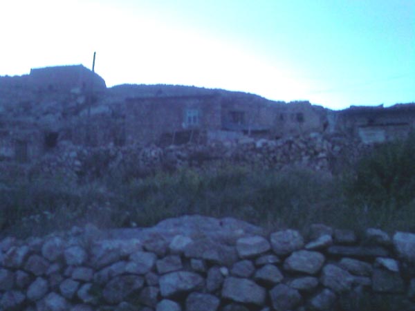 Yerlice Köyü (Tavunkvank)