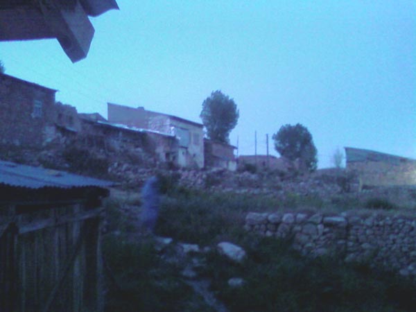 Yerlice Köyü (Tavunkvank)