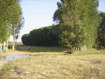 Yukarı Kırzı Köyü (Yukarı Kırzı)